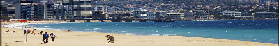 Playa de Viña del Mar